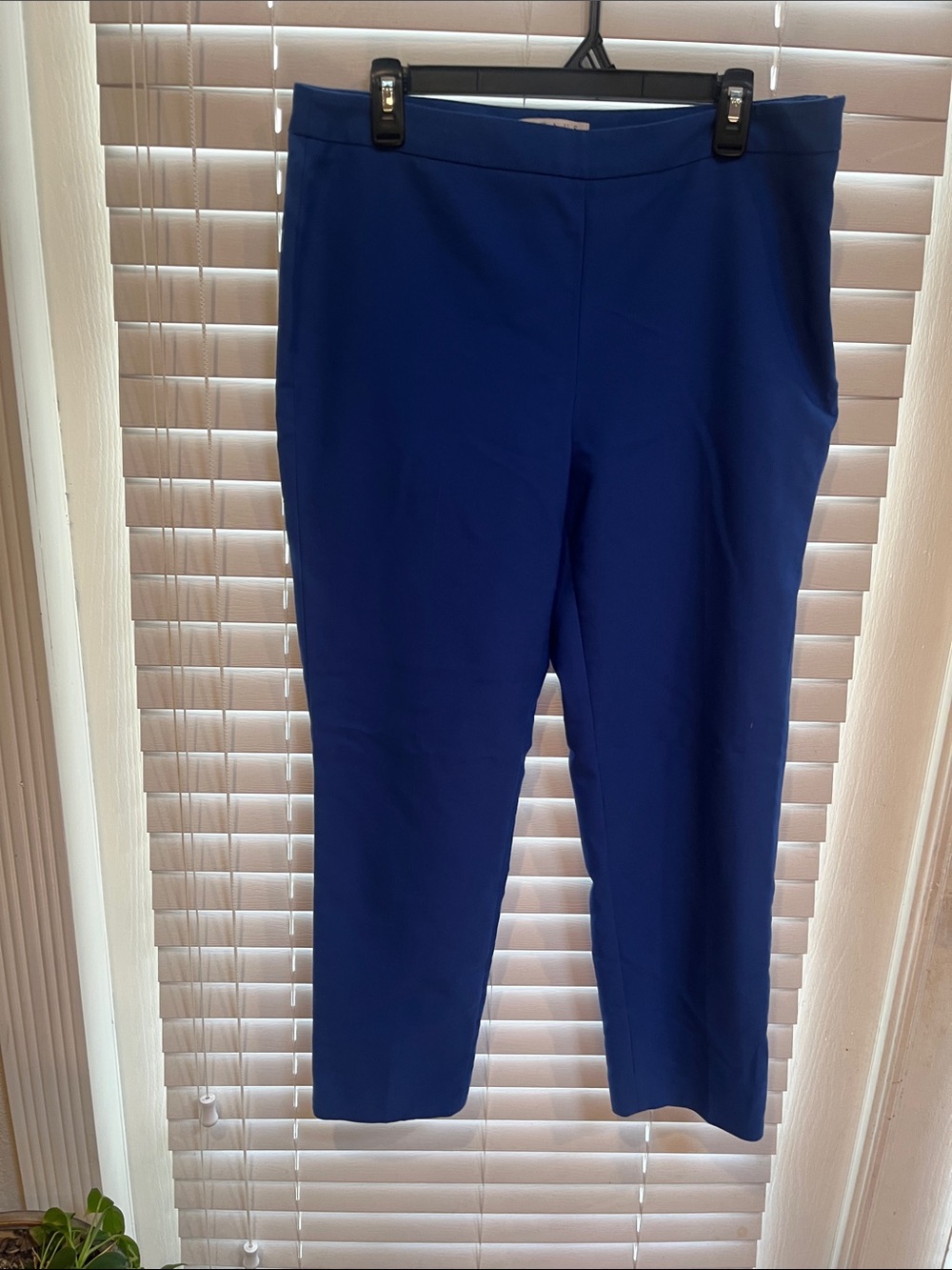 Chaus Slim Ankle Pants in Deep Blue